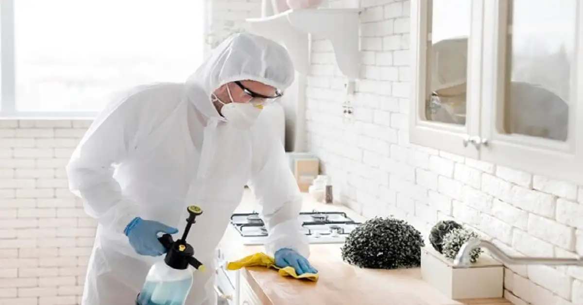 Effective Strategies for Addressing Household Mold Issues