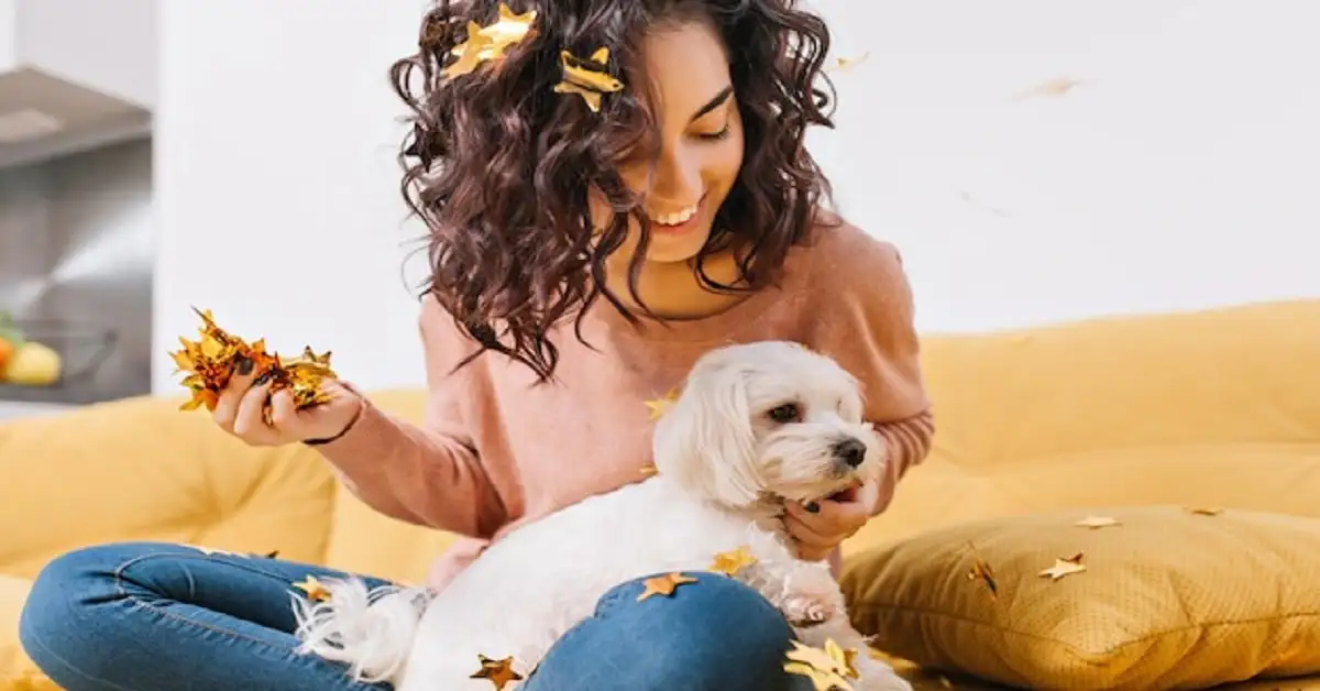 Mini Cavapoo Puppies: The Ultimate Guide for New Owners