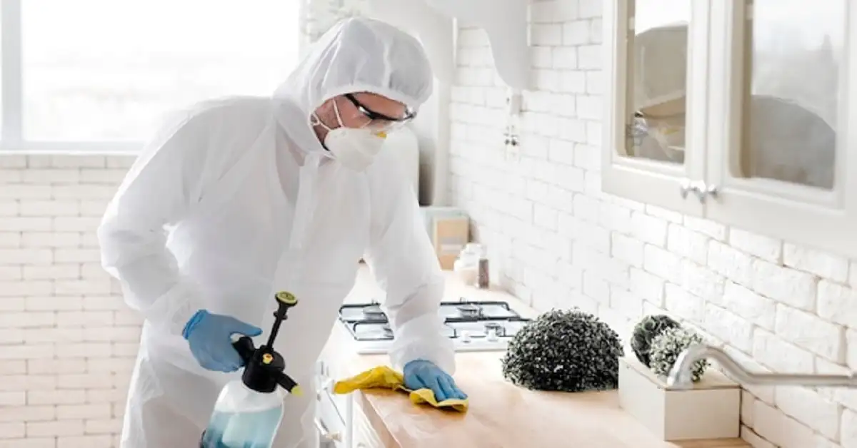 mold remediation in New Jersey